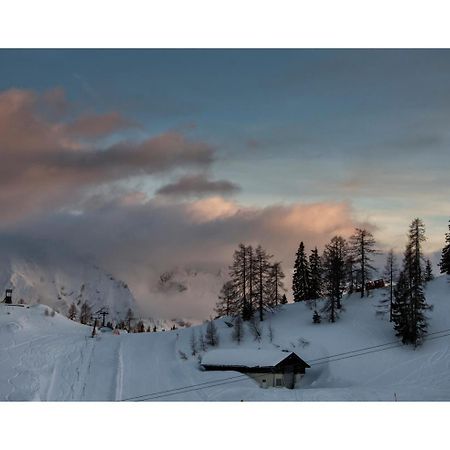 Hotel Alpen Arnika Tauplitzalm エクステリア 写真